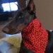 Sheba