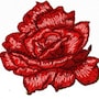 shop-member-photo
