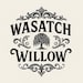 Wasatch Willow