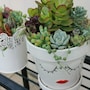 shop-member-photo
