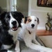Ruby & Layla