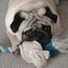 Decker our baby