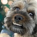 Digby