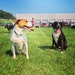 Woodrow and Gus