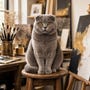 shop-member-photo