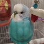 shop-member-photo