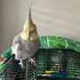 shop-member-photo