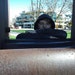 Skyler