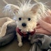 Lucy aka Miss Baby
