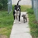 Axel && Delilah