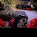 Mo and Cookie