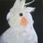 shop-member-photo
