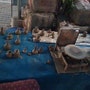 shop-member-photo