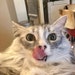 Eloise