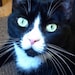 Miss Mitzy