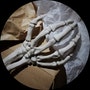 shop-member-photo