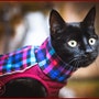shop-member-photo