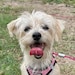 Winnie
