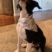 Oliver