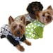 Cooper, Maddy & Sofi