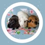 shop-member-photo