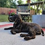 shop-member-photo
