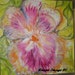 Carolyn Knape