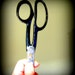The Scissors