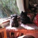 Jacksy & Daria