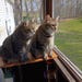 Rhea and Quintus