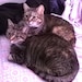 Rhea and Quintus