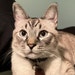 Nigel