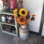 shop-member-photo