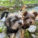 Lainey & Jerry Junior
