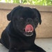 Mortimer