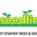 NurserySeedlings.Co -  11 yrs & Growing - Shipping Transplant Starter Trees and Seedlings  Rootstock