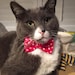 Pushkin