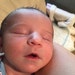 Harper
