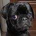 George