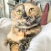 Luma