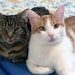 Zoe & Henry, Jr.
