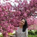 Anh