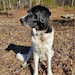 Maggie