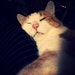 Jonesy
