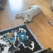 Stella
