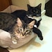 Melvin & Charlie