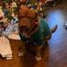 Argos
