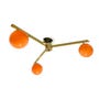 shop-member-photo