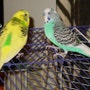 shop-member-photo