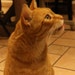 Dexter